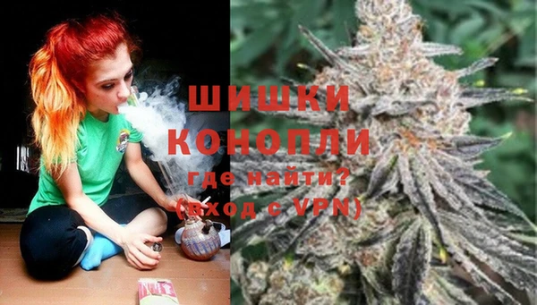 spice Волоколамск