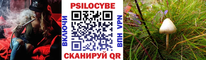 Галлюциногенные грибы ЛСД Купить где Новороссийск
